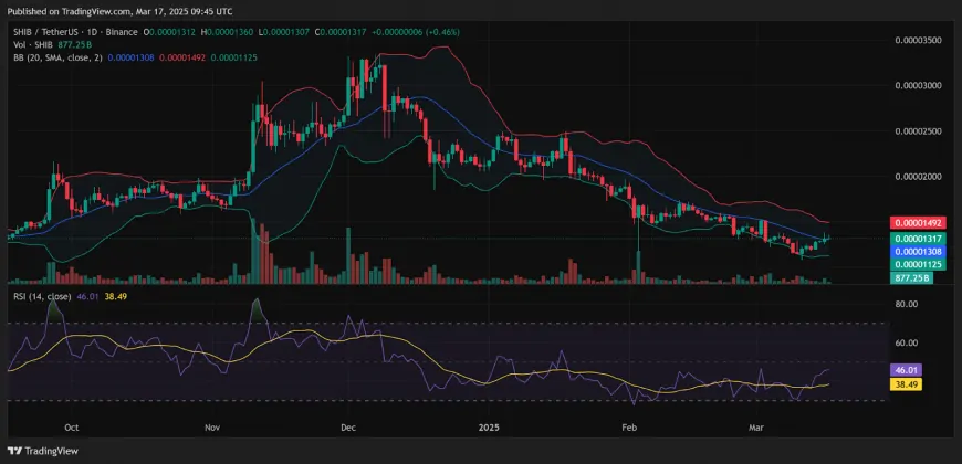 Shiba Inu (SHIB) Burn Rate Jumps 50,000% with Shib OS Launch