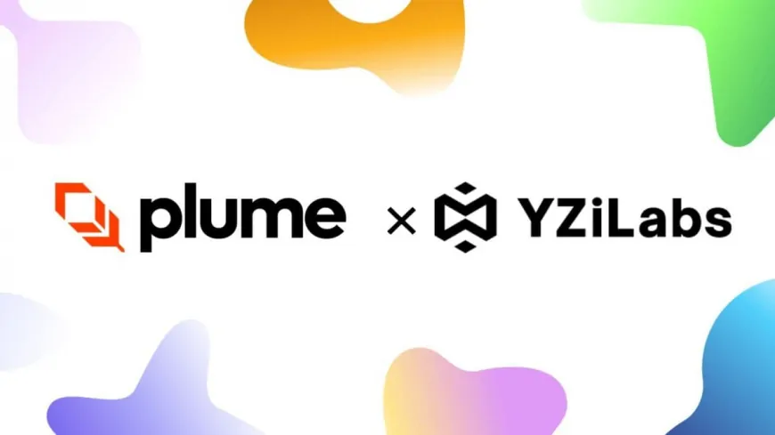 YZi Labs Announces Investment in Plume Network for RWA Development