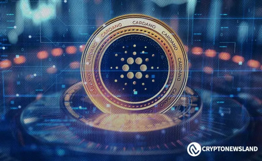 Once a Top 3 Asset, Cardano Prepares to Reclaim This Title, ADA's Unstoppable Rise This Bull Cycle?