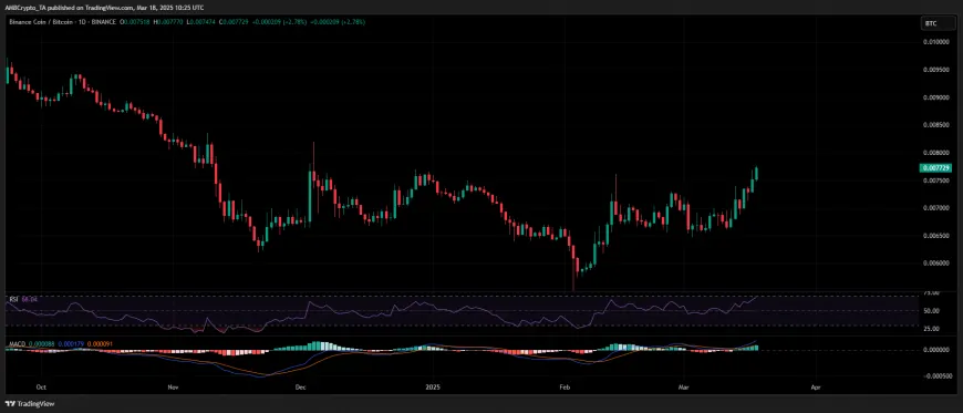 BNB's DEX Volume Surge Signals Growing Confidence Amid Potential Market Volatility