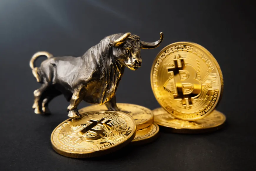 Is the Bull in Bitcoin Over? Analyst: “I Haven't Sold a Single BTC Since 2020, And…”