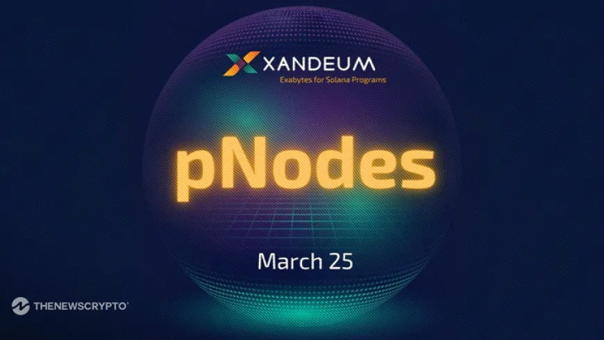 Xandeum Launches pNodes to Boost Solana's Scalable Storage Layer