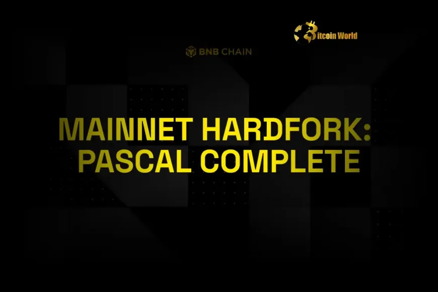 Revolutionizing Crypto: BNB Chain Pascal Upgrade Ignites Faster Block Times