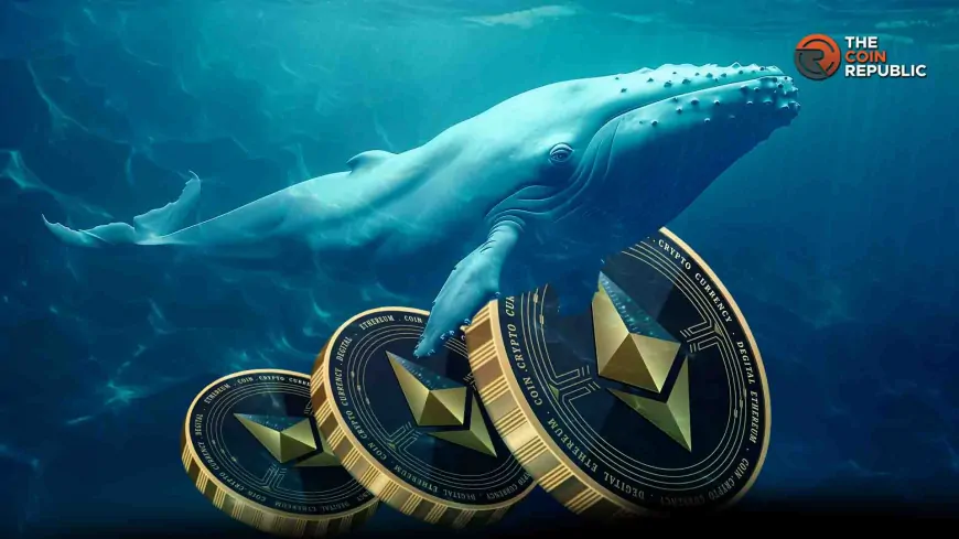 Whales Move ETH: Can Ethereum Price Breaks Past $2,000?