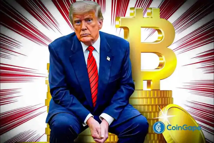 XRP News: Lawyer Questions Donald Trump Government's Lean Towards Bitcoin