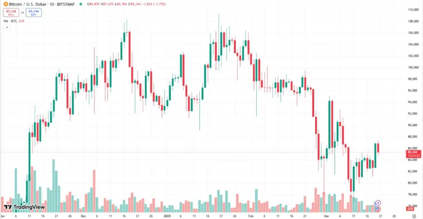 Altcoin Season Incoming? Bitcoin's Price Swings Push Investors Toward $TLD, Litecoin, Dogecoin, Shiba Inu Among the Top Crypto Picks