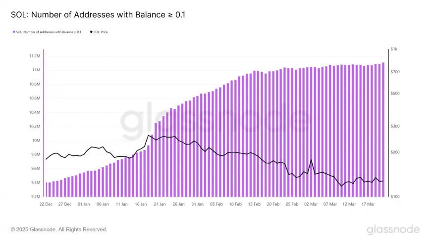 Solana's Active Wallet Growth Suggests Increased User Engagement Amid Price Corrections and Declining TVL