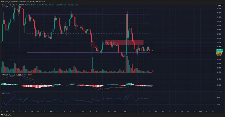 Cardano's Potential Resurgence Hinges on Bitcoin's Uptrend and Increased Buying Pressure